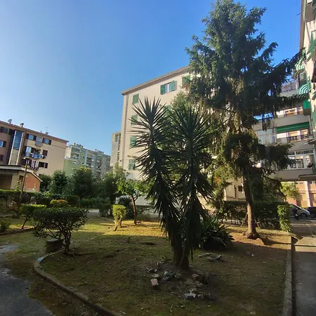 L'angolo Del Viaggiatore 5 Terre * La Spezia